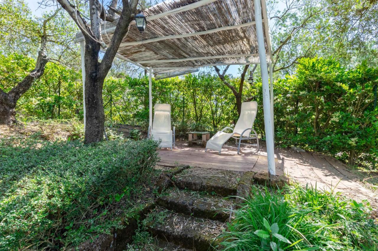 La Casa Medioevale Bed & Breakfast Лампорекио Екстериор снимка